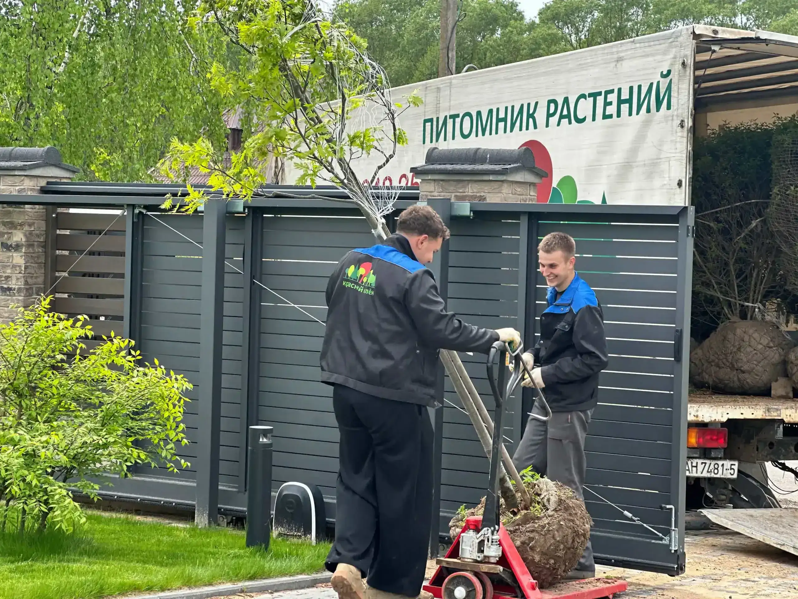 Благоустройство: красота и порядок на вашем участке