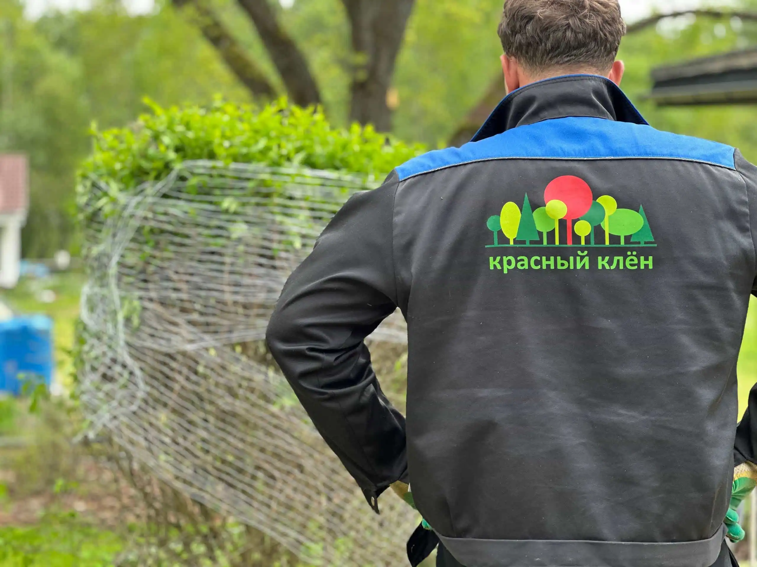 Профессиональная посадка растений на вашем участке