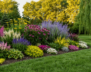 Самые неприхотливые растения для дачи