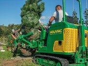 Выкопка саженцев собственного производства.