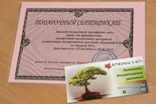 konkurs_proektov4_s konkurs_proektov4_s