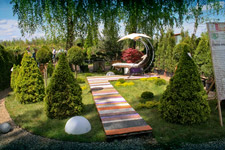 spiral_fibonachchi_s